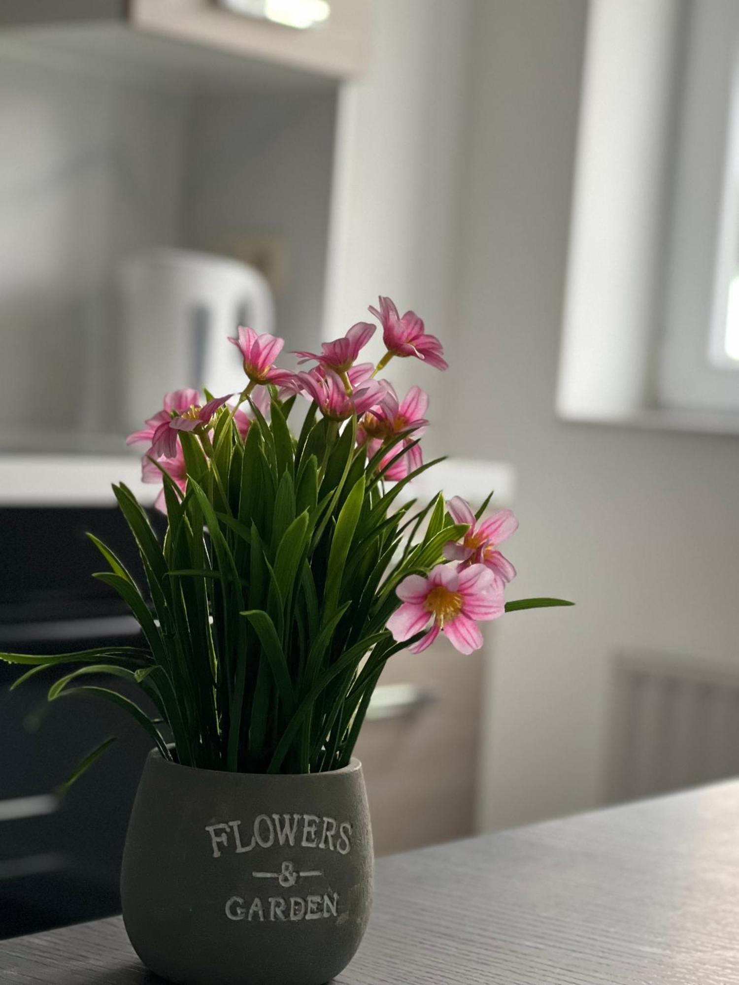 Maison D'Ans Zewnętrze zdjęcie